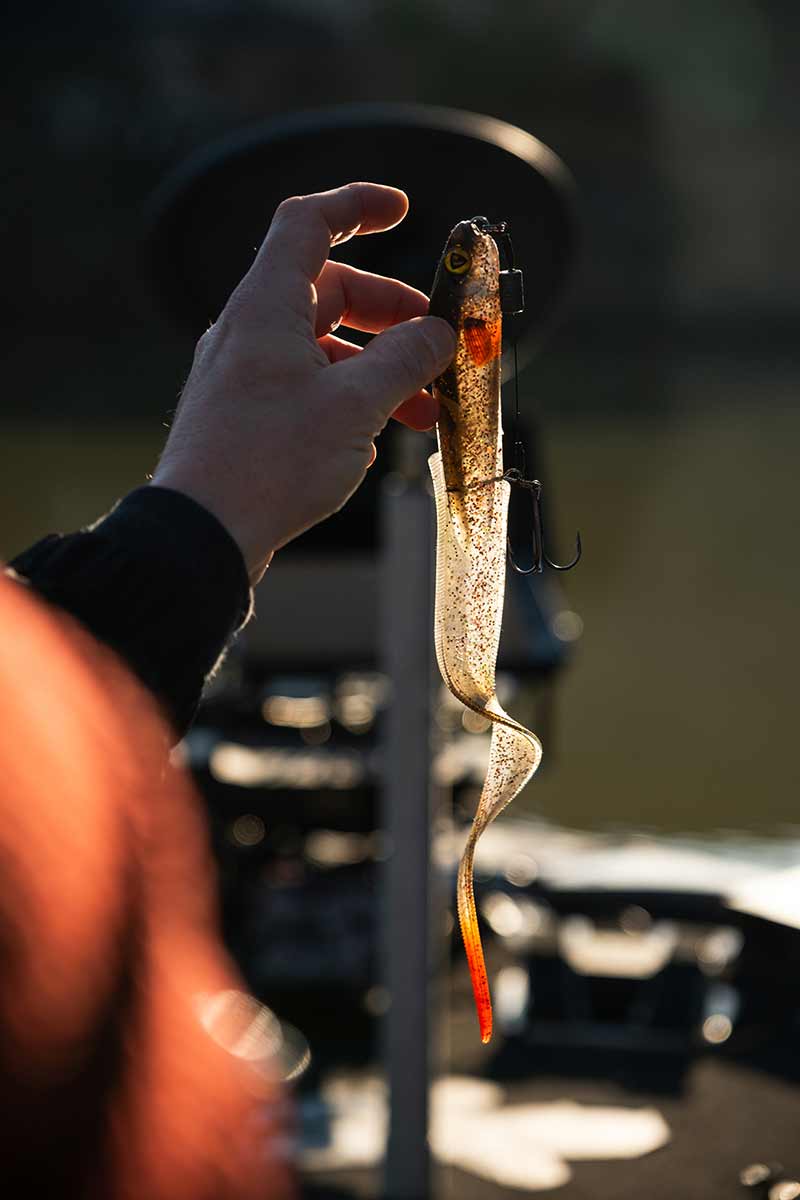 Grub FOX RAGE Slick Eel Loaded, UV Perch, Nr.1/0, 28cm, 1buc/pac