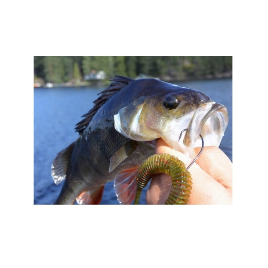 Grub Westin RingTeez ST 13cm Seaweed