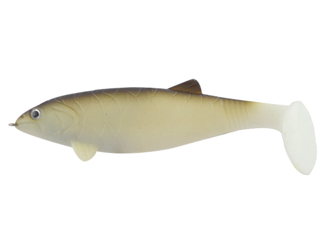HUGE SHAD COLMIC ALBINO GREEN