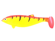 HUGE SHAD COLMIC ORANGE TIGER