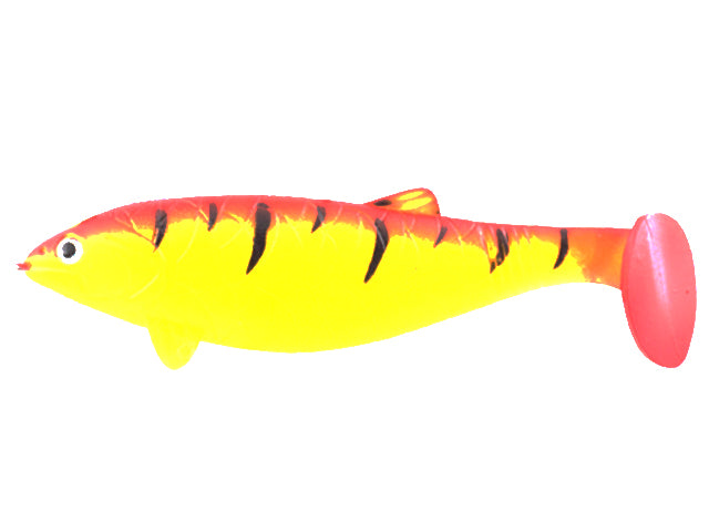 HUGE SHAD COLMIC ORANGE TIGER