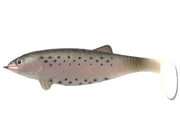 HUGE SHAD COLMIC TROUT