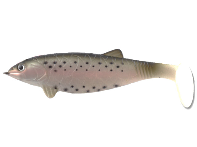 HUGE SHAD COLMIC TROUT