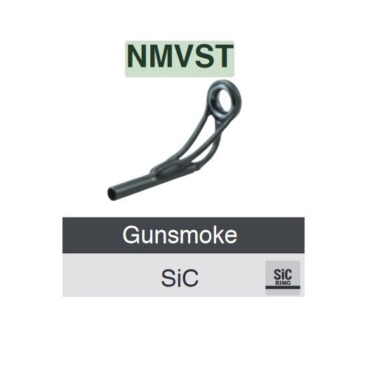 INEL VARF FUJI SIC NMVST 4 1.2