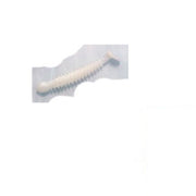 Kick Tail Owner RB2 13 Ring Kick Tail 82906 White