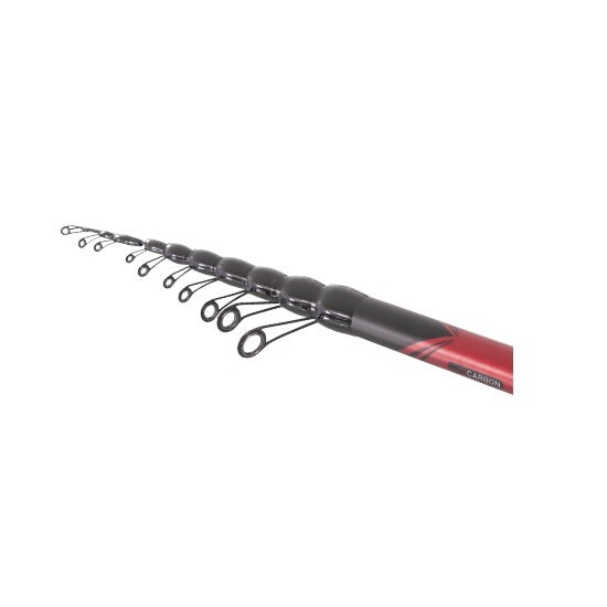 LANSETA CARP EXPERT TELEMATCH 4.20M 5-25G