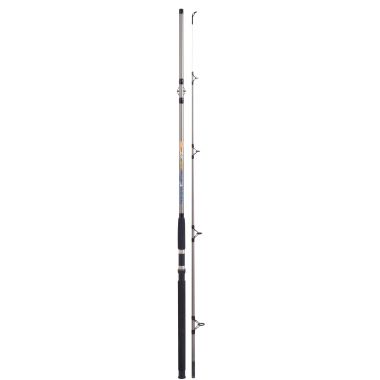 LANSETA COLMIC NESSY SILURO XF300 2.10M 300GR 2SEG