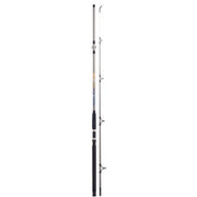 LANSETA COLMIC NESSY SILURO XF300 3.00M 300GR 2SEG