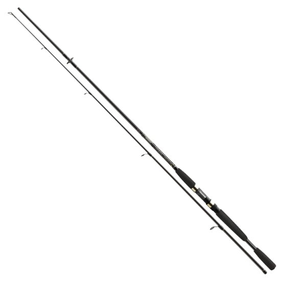 LANSETA CORMORAN I COR BLACK  2.70M  10 40G  2SEGMENTE