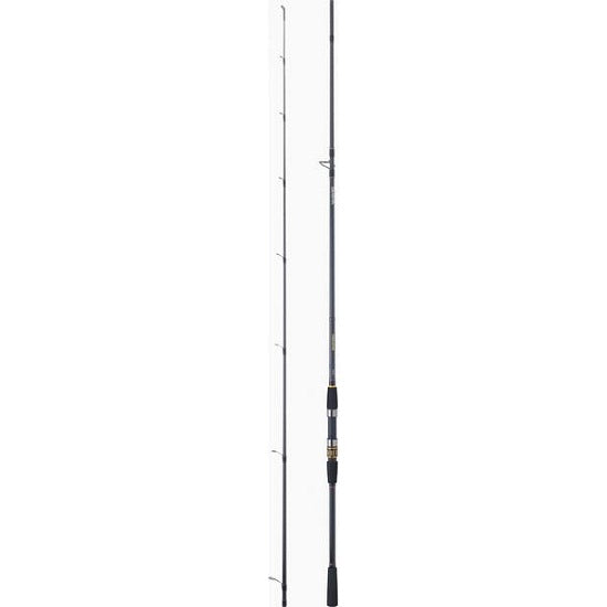 LANSETA DAIWA 2BUC.PROCASTER 702MFSE BX 2,13M/5-21G