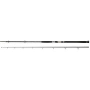 LANSETA DAIWA EXCELER CATFISH 2.70M 200-600G 2SEG