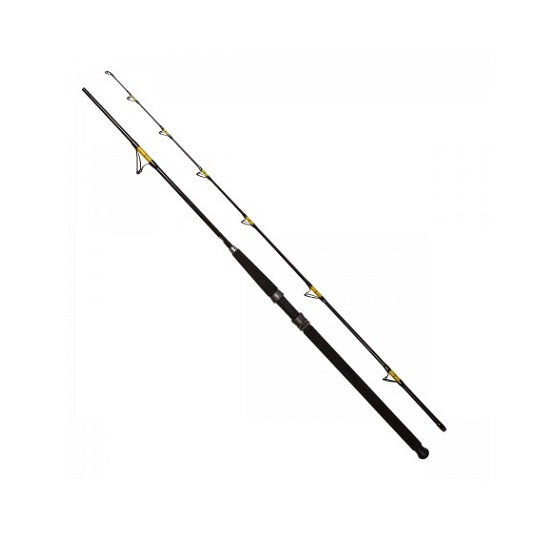 LANSETA FL CATFISH PASSION PRO 2.40M 300-600G