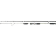 LANSETA JAXON ANTRIS HTI CATFISH SPIN 2.70M 50-120GR