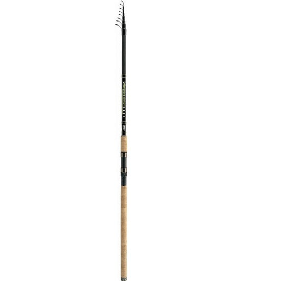 LANSETA JAXON ANTRIS HTI TELEMATCH TM 4.20M 5-20GR