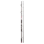 LANSETA JAXON EXTERA CAT FISH 2.85M 2SEG 500GR
