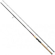 LANSETA JAXON EXTERA SPINNING 2.10M 5-15GR 2SEG