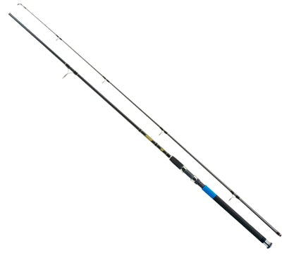LANSETA JAXON PERSEUS PILK 3.10M 180GR 2SEG