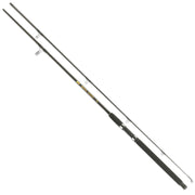 LANSETA JAXON SATURN SPINNING 2.40M 10-30GR 2SEG