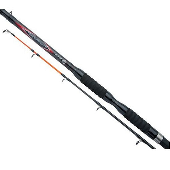 LANSETA SHIMANO FORCEMASTER AX CATFISH 300H 3.00M 500G 2SEGMENTE