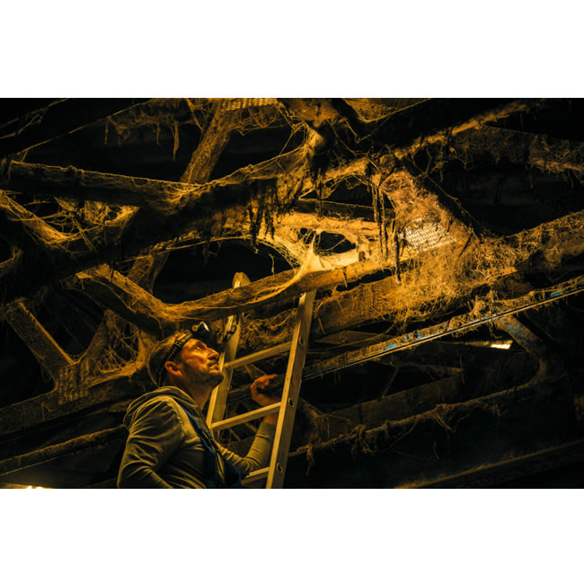  LANTERNA CAP  LED LENSER H5R WORK 500LM+CABLU MAGNETIC