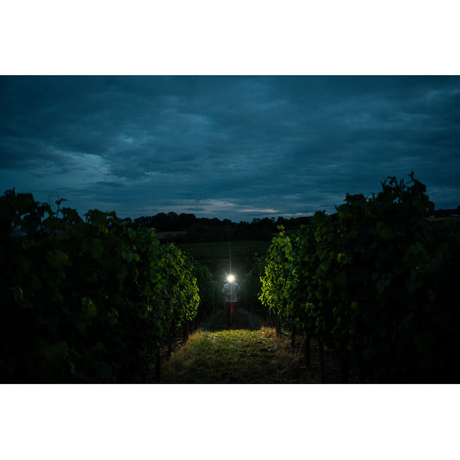  LANTERNA CAP LED LENSER H7R SIGNATURE 1200LM+CABLU MAGNETIC