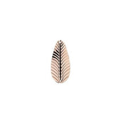 LINGURA JAXON KARAS F 2C 18GR
