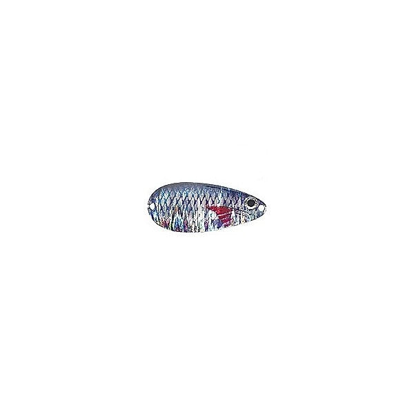 LINGURA JAXON KARAS SCOT 3F 24GR