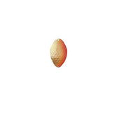 LINGURA JAXON KOLA RASTER 2HD 22GR 