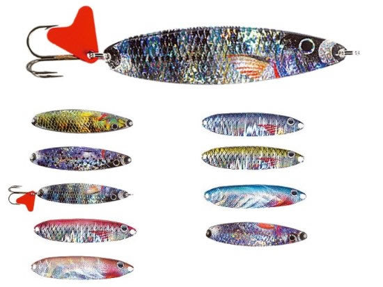 LINGURA JAXON UKLA SCOT 3T 34GR