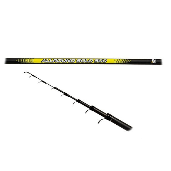 Lanseta Benzar Bologneza Allround Bolo 5.00m 5-20g