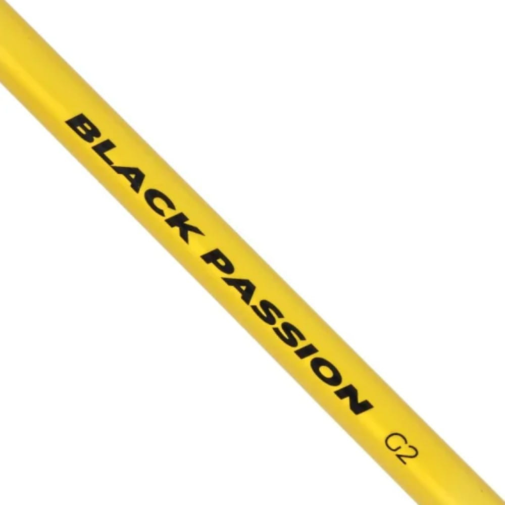 Lanseta Black Cat Black Passion G2 Spin, 50-200g, 2.70m , 2seg