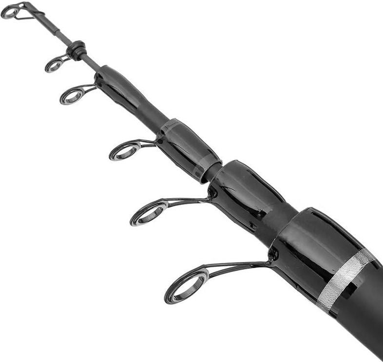 Lanseta Bolognesa Filfishing Filex Continental, 30g, 5m, 5seg