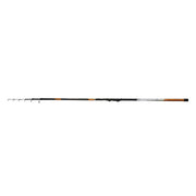 Lanseta Bologneza EnergoTeam Piave 6m 5-20g