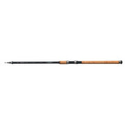 Lanseta Cormoran TeleCor 170 3.60m/70-170g
