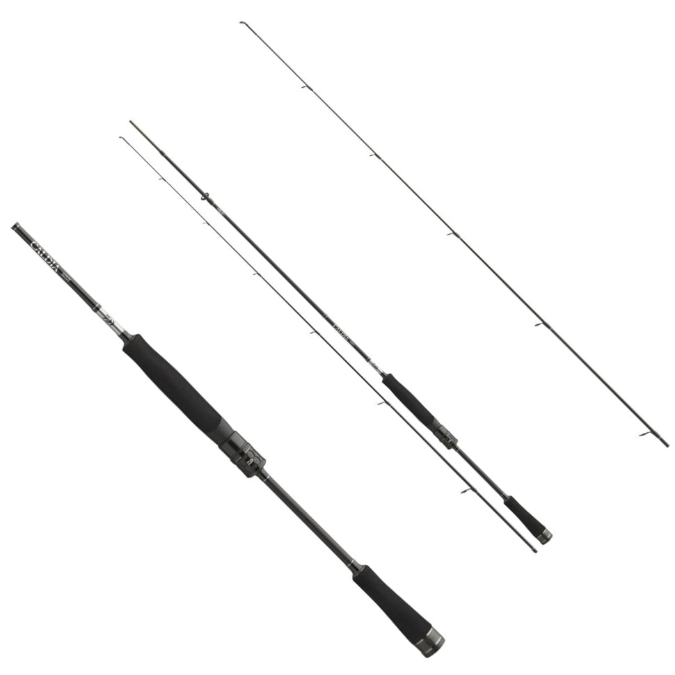 Lanseta DAIWA Caldia Light Spin, 1.95m, 1-6g, 2seg