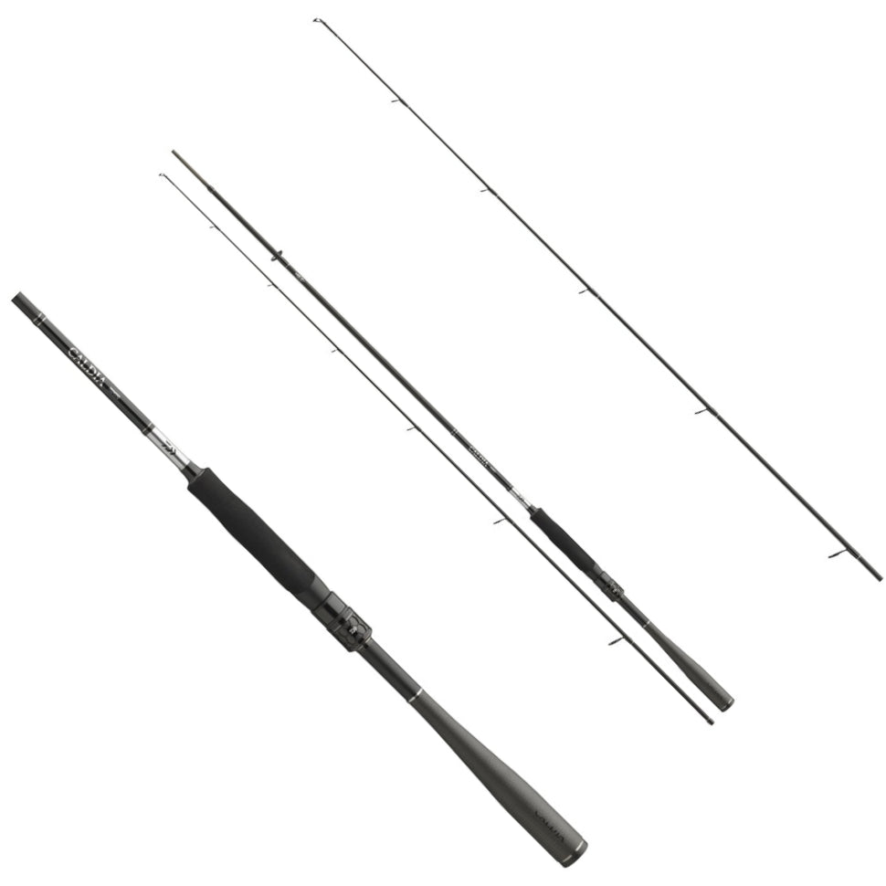 Lanseta DAIWA Caldia Sensor Spin, 2.10m, 4-18g, 2seg