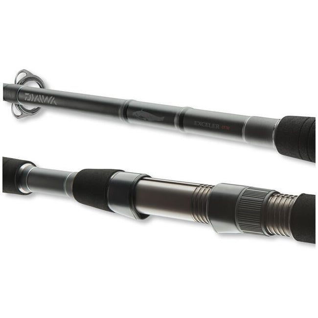 Lanseta DAIWA EXCELER CATFISH BOJE 3.00M 200-600G  2seg