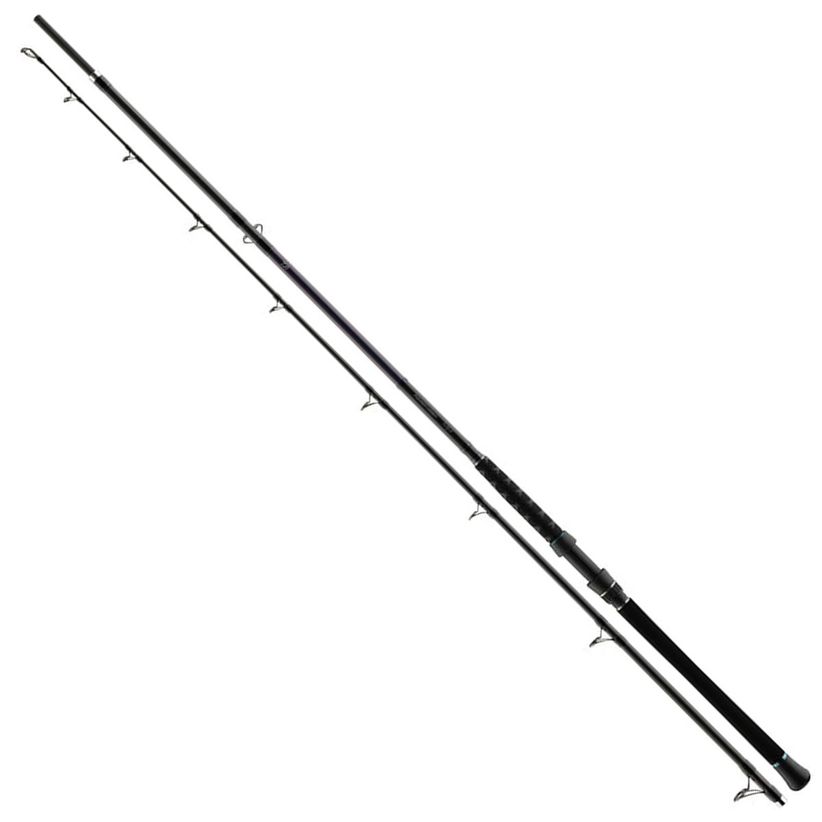 Lanseta DAIWA Powermesh Catfish 2seg