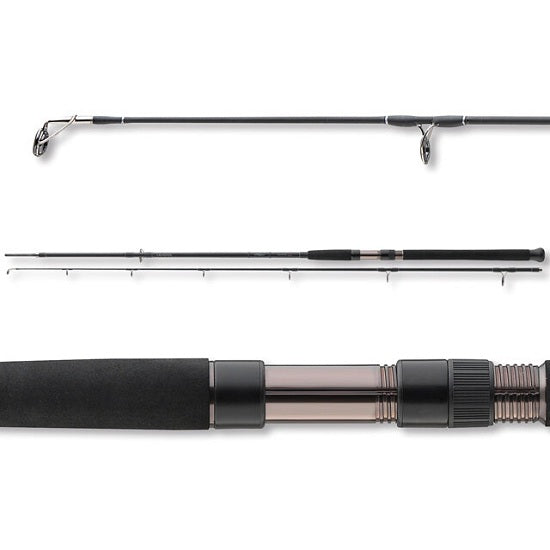 Lanseta Daiwa EXCELER CATFISH 3.30M 200-600g 2seg