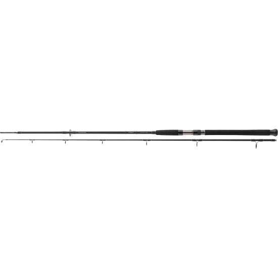 Lanseta Daiwa EXCELER CATFISH SPIN 2.05M 185g 2seg