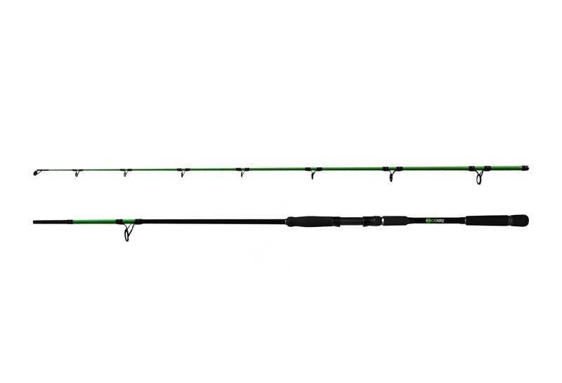 Lanseta Delphin Catkong HYPERIO 2.40m 100g