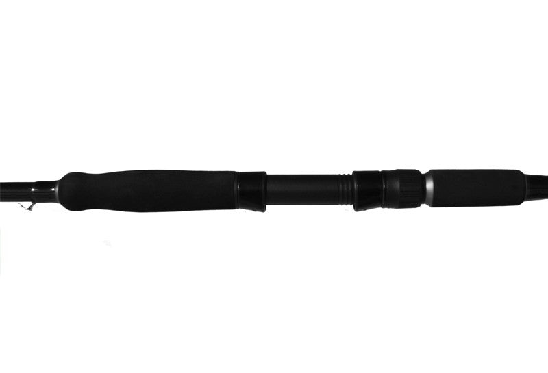 Lanseta Delphin Catkong HYPERIO 2.40m 100g