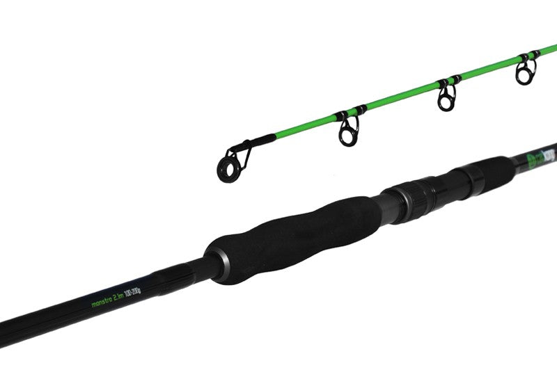 Lanseta Delphin Catkong MOSNTRO 2.10M 100-200g