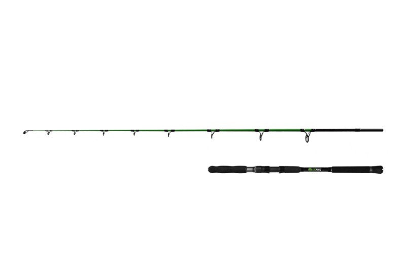 Lanseta Delphin Catkong MOSNTRO 2.10M 100-200g