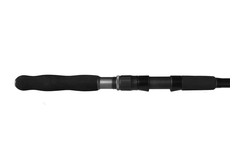 Lanseta Delphin Catkong MOSNTRO 2.10M 100-200g