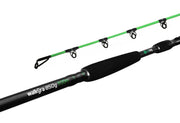 Lanseta Delphin Catkong WALKYRA 3.00m 850g