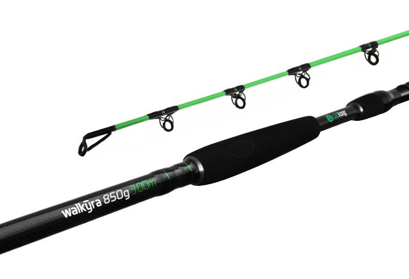 Lanseta Delphin Catkong WALKYRA 3.00m 850g