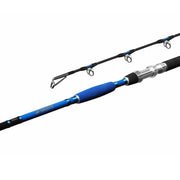 Lanseta Delphin HAZARD 2.55M 500g