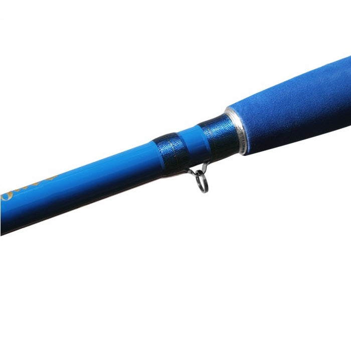 Lanseta Delphin HAZARD 2.85M 500g