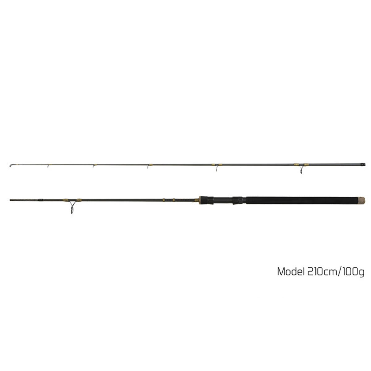 Lanseta Delphin MURENA 2.10m, 100g, 2seg